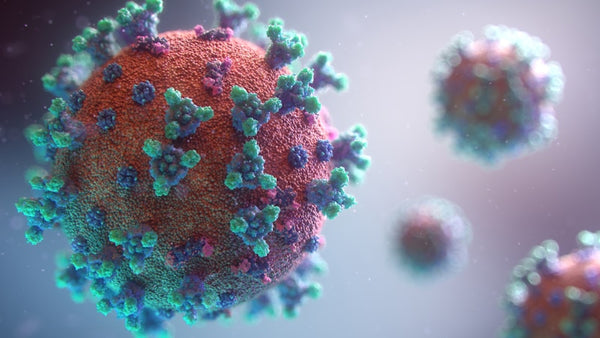 Strengthening the Immune System with Peptides