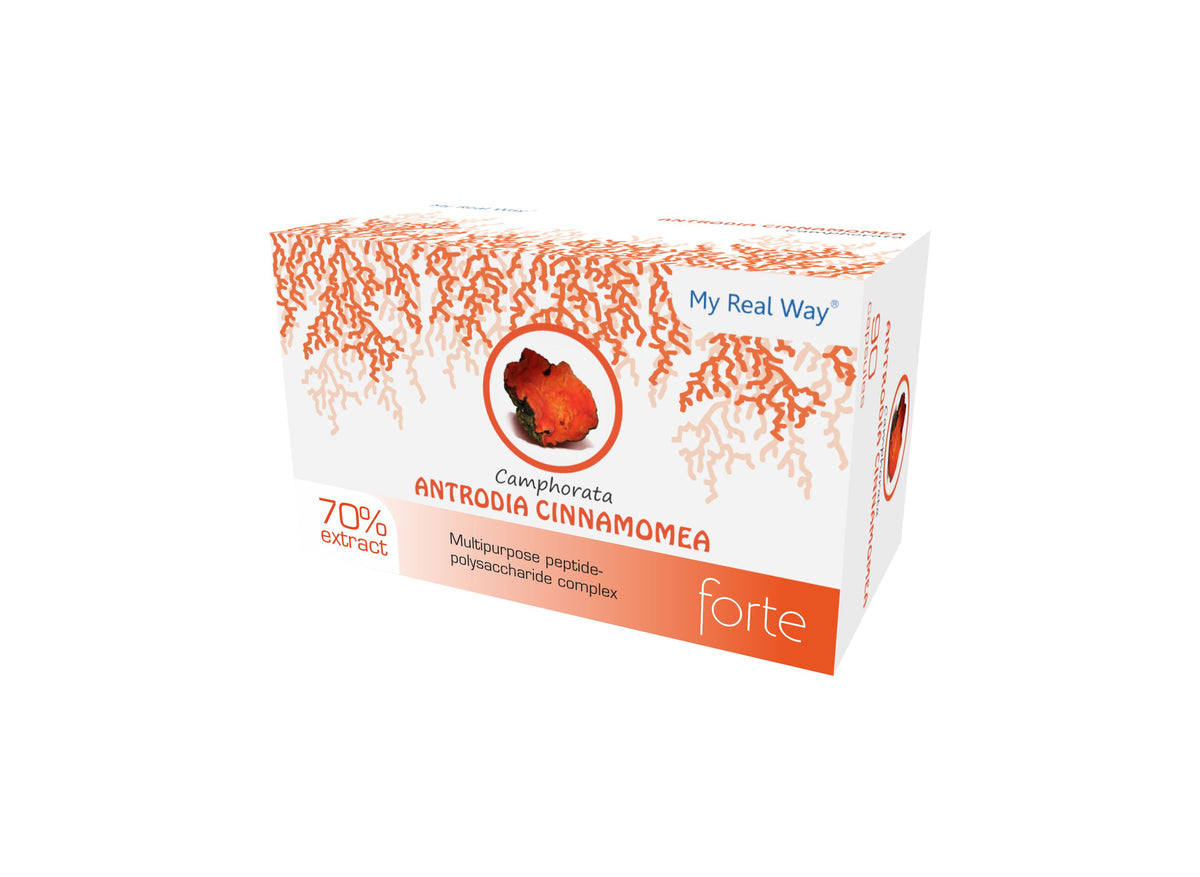 ANTRODIA CAMPHORATA 70% - 90 KAPSULIŲ